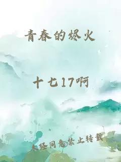 青春的烬火