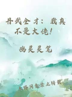 丹武全才：我真不是大佬！